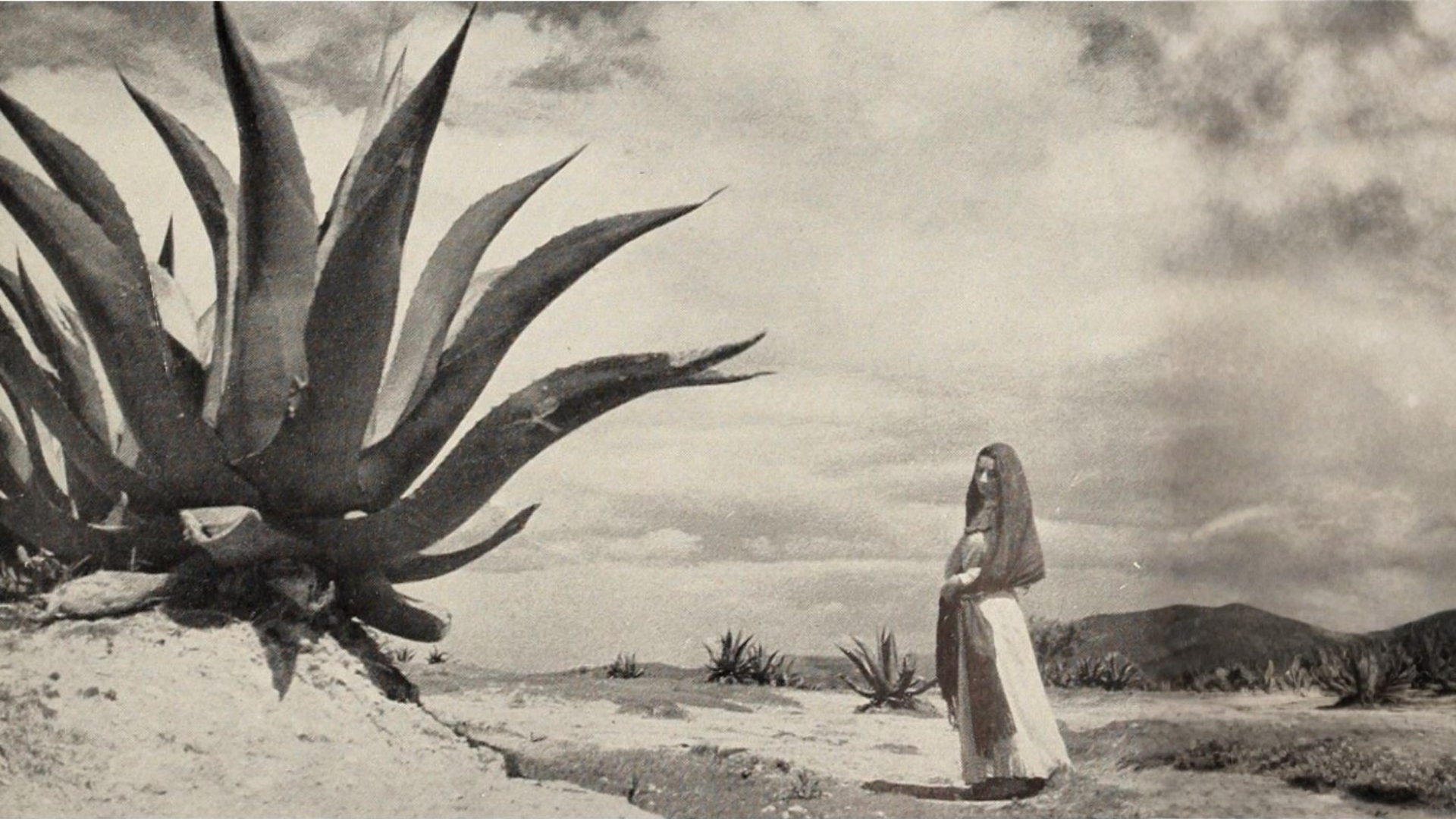 Mayahuel, goddess of agave in Aztec mythology